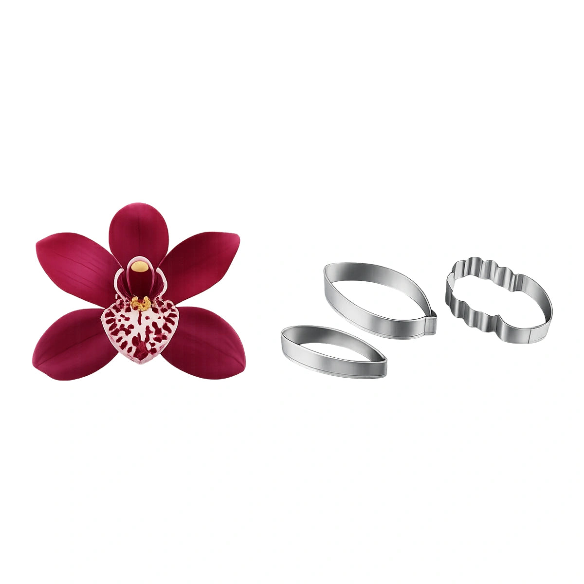Cymbidium Orchid - Petal Cutter Set