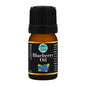Blueberry Flavour Oil 5ml - Iconic Cake Art