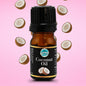 Coconut Flavour Oil 5ml - Iconic Cake Art