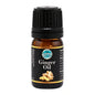 Ginger Flavour Oil 5ml - Iconic Cake Art