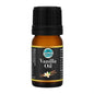 Vanilla Flavour Oil 5ml - Iconic Cake Art