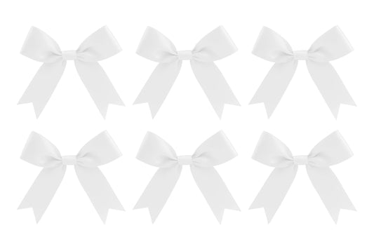ICA-SRWH-006_2