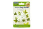 Foliage Plunger Cutters - Medium Veined Ivy Leaf - PME