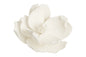 White Large MagnoliaTopper 13cm - Sweet Sugar Flowers