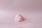 Rose Kit - Moreish by Monica Cavallaro