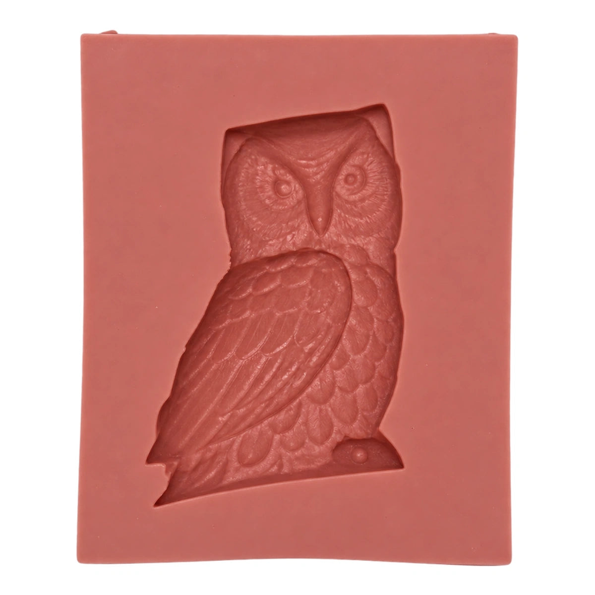 Owl O43 - Carolines
