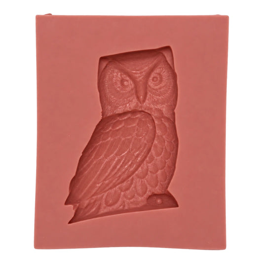 Owl O43 - Carolines
