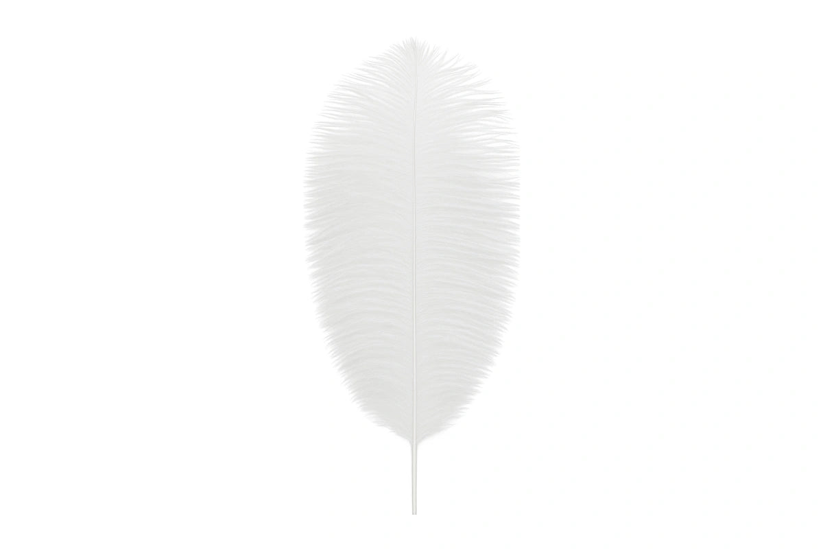White Colour - Ostrich Feather Topper - Cake Decoration (1 Pack) - My Dream Cake