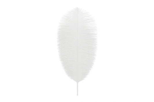 White Colour - Ostrich Feather Topper - Cake Decoration (1 Pack) - My Dream Cake