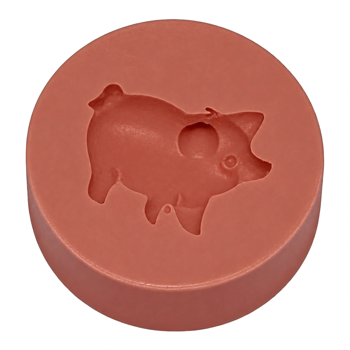 Pig P22 - Carolines