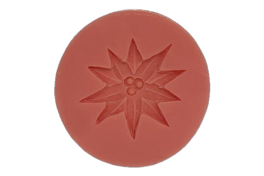 Poinsettia P45 - Carolines