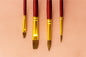 Premium Paint Brush Set - Set 14