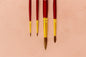 Premium Paint Brush Set - Set 15