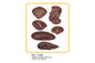 Assorted Seashells - 24 Cavity - Mould - T Quality Tools