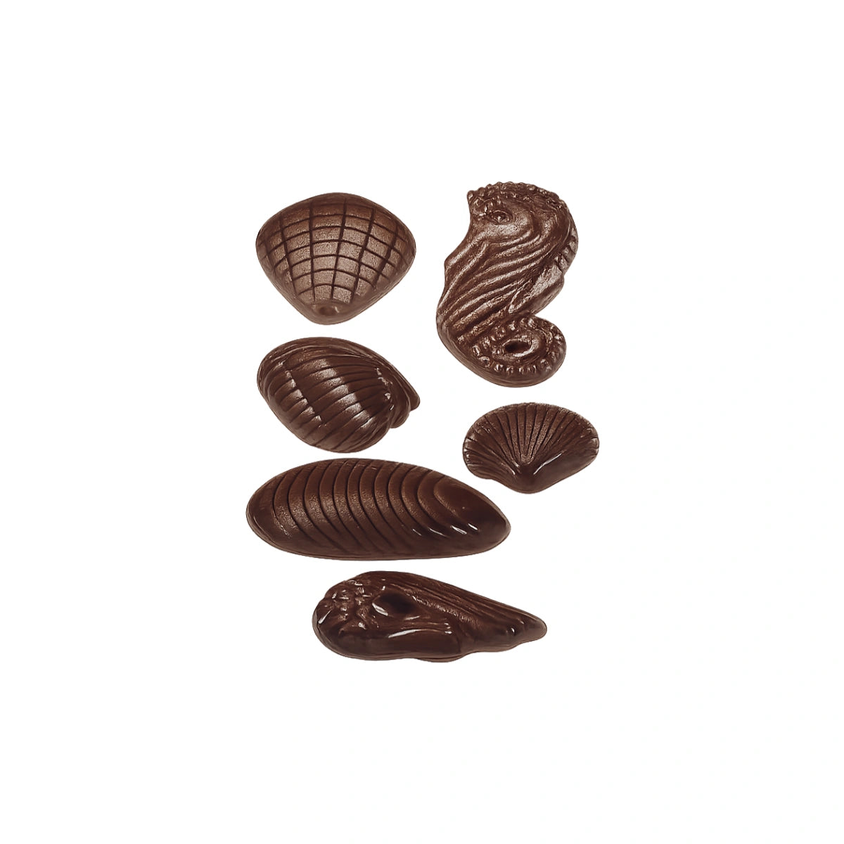 Assorted Seashells - 24 Cavity - Mould - T Quality Tools