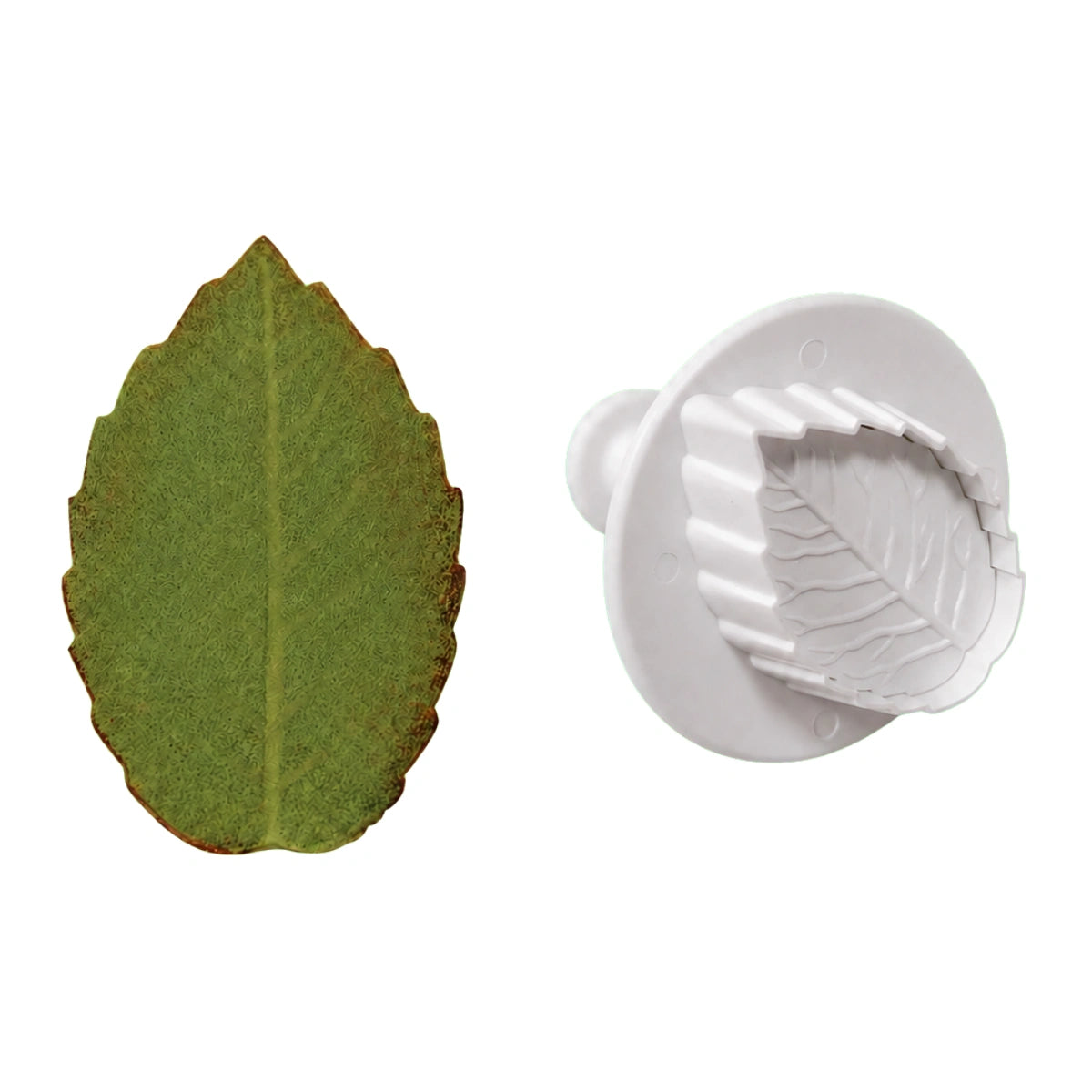 ( 1.6 Inch) Large Veined Rose Leaf Foliage Plunger Cutters 40mm - PME