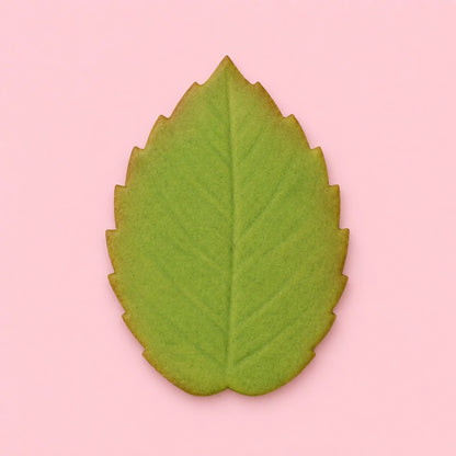( 1.8 Inch) XL Veined Rose Leaf Foliage Plunger Cutters 45mm - PME