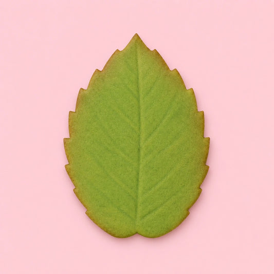 ( 1.8 Inch) XL Veined Rose Leaf Foliage Plunger Cutters 45mm - PME