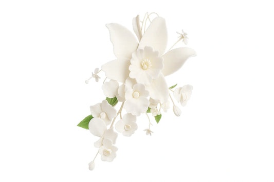White Cymbidium Orchid Spray Large - Sweet Sugar Flowers
