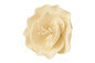 Ivory Single Small Briar Rose - Sweet Sugar Flowers