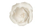 White Single Small Briar Rose - Sweet Sugar Flowers