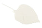 White Single Small Rose Leaf with Wire - Sweet Sugar Flowers