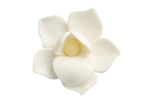 White Small Orchid No Wire - Sweet Sugar Flowers