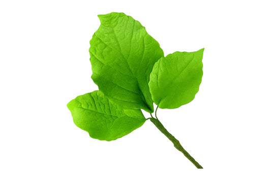 Big Hydrangeas Leaf Fillers - Sweet Sugar Flowers