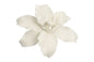 White Single Stargazer Lily - Sweet Sugar Flowers