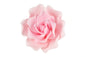 Pink Single Damask Rose Medium - Sweet Sugar Flowers