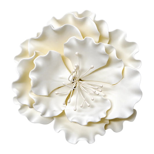 White Single Open Rose Large in - Sweet Sugar Flowers