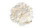 White Single Open Rose Medium in - Sweet Sugar Flowers