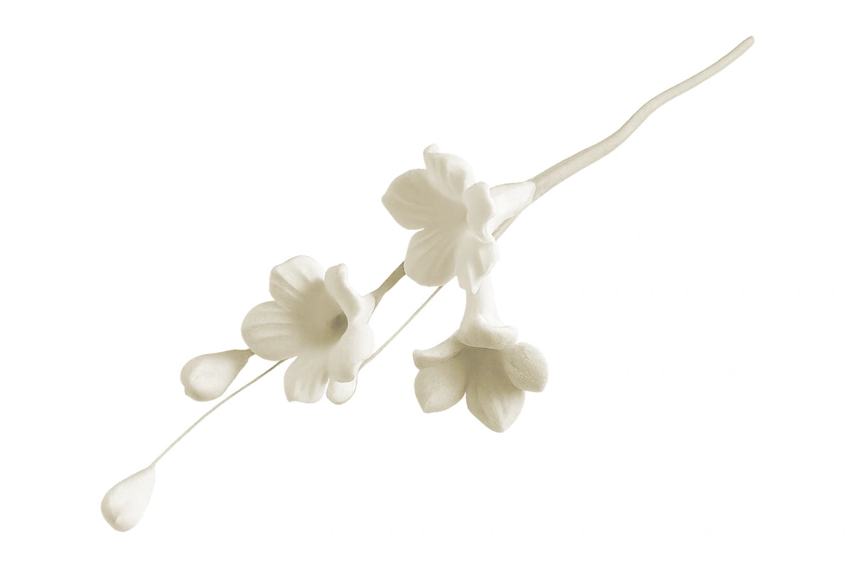 White Stephanotis Filler Bunch - Sweet Sugar Flowers