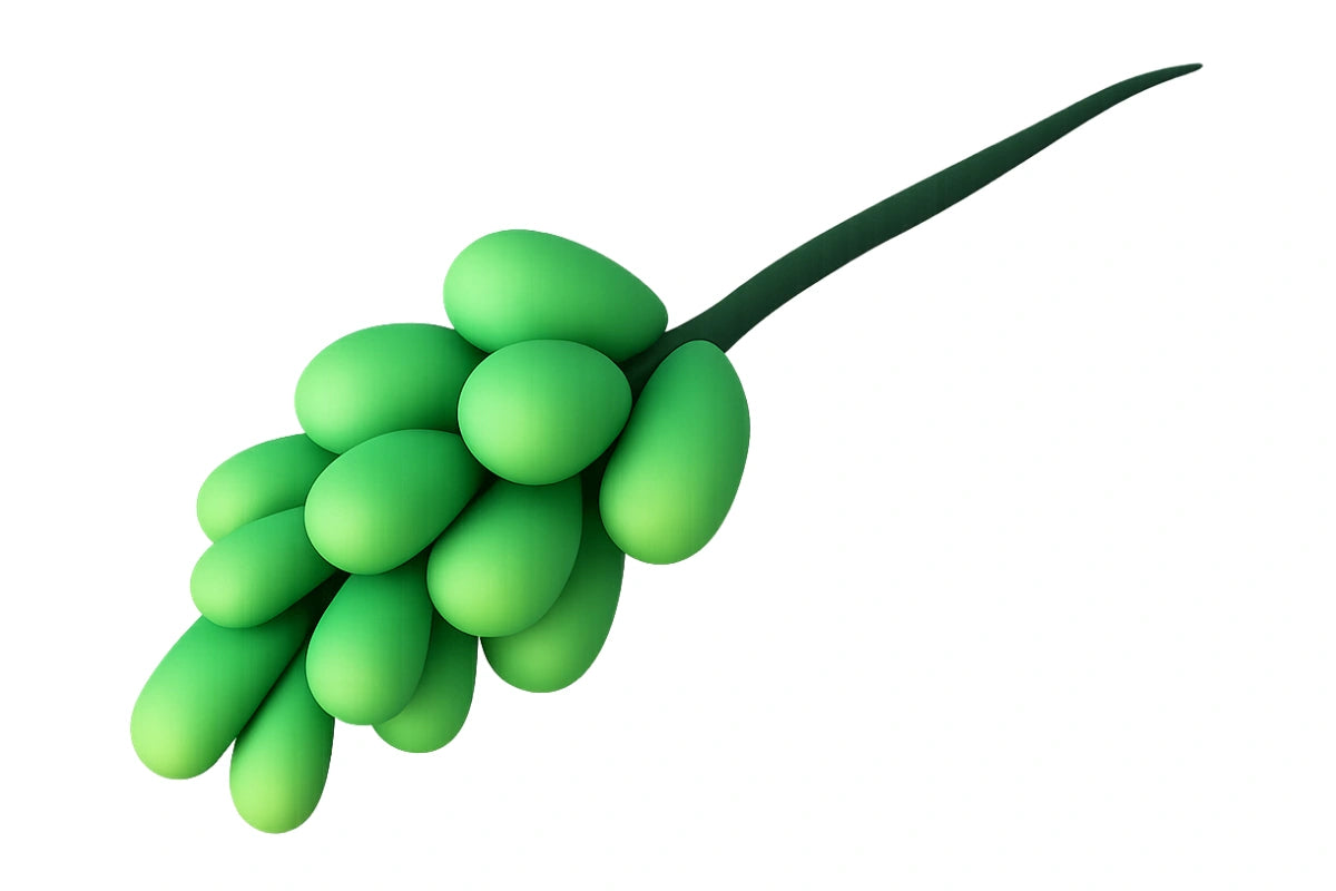 Green Ice Succulent - Sweet Sugar Flowers