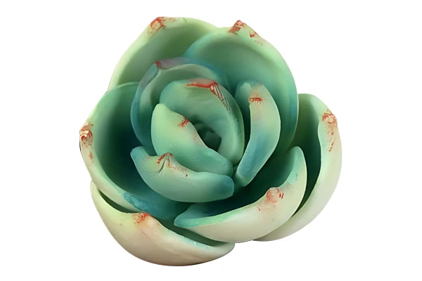 Green Extra Small Succulent - Sweet Sugar Flowers