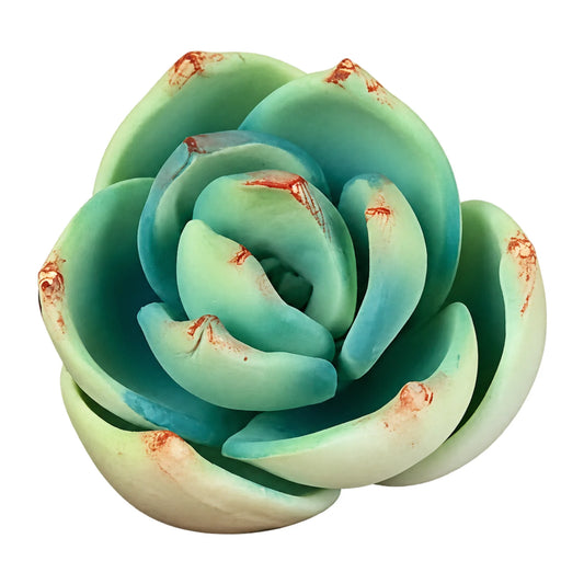 Green Extra Small Succulent - Sweet Sugar Flowers