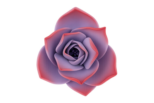 Extra Small Succulent - Violet - Sweet Sugar Flowers