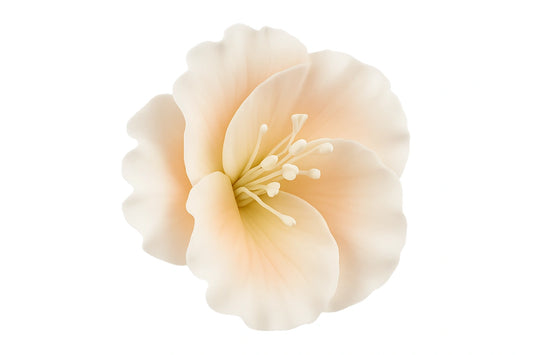 Peach Single Azalea - Sweet Sugar Flowers