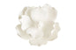 White Large Flower Magnolia - Sweet Sugar Flowers