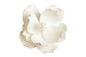 Medium Flower Magnolia - Sweet Sugar Flowers