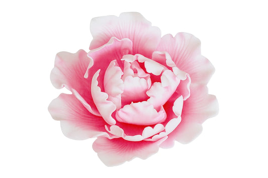 Pink Large Closed Peony 12cm - Sweet Sugar Flowers