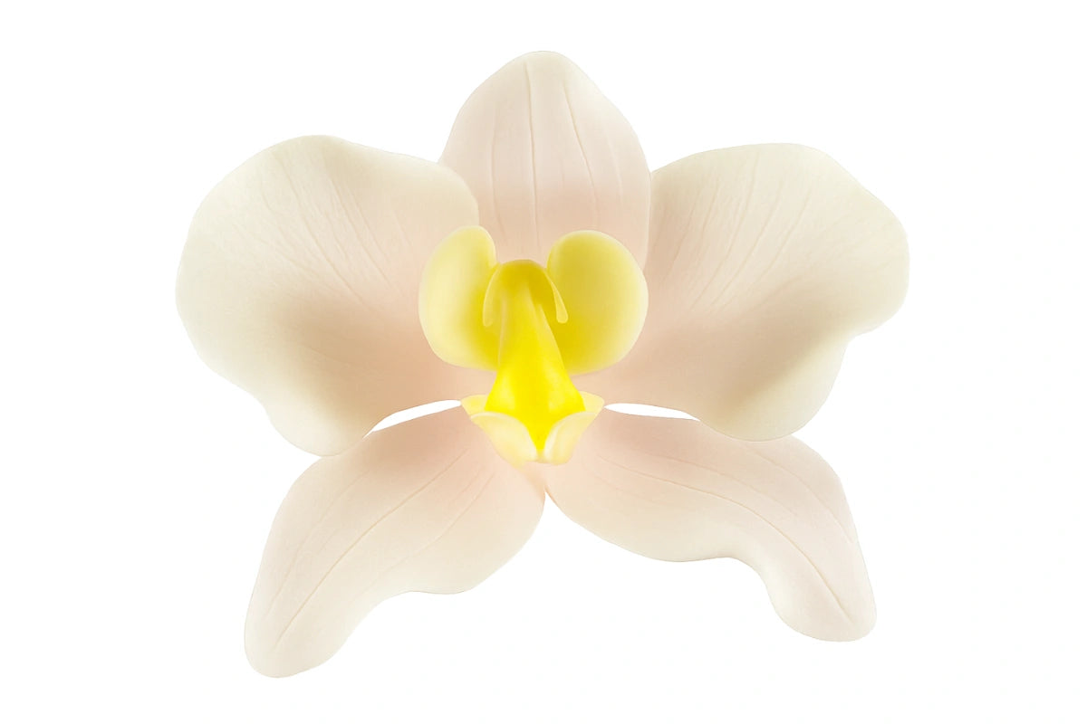 Pink Phalaenopsis Orchid Large - Sweet Sugar Flowers