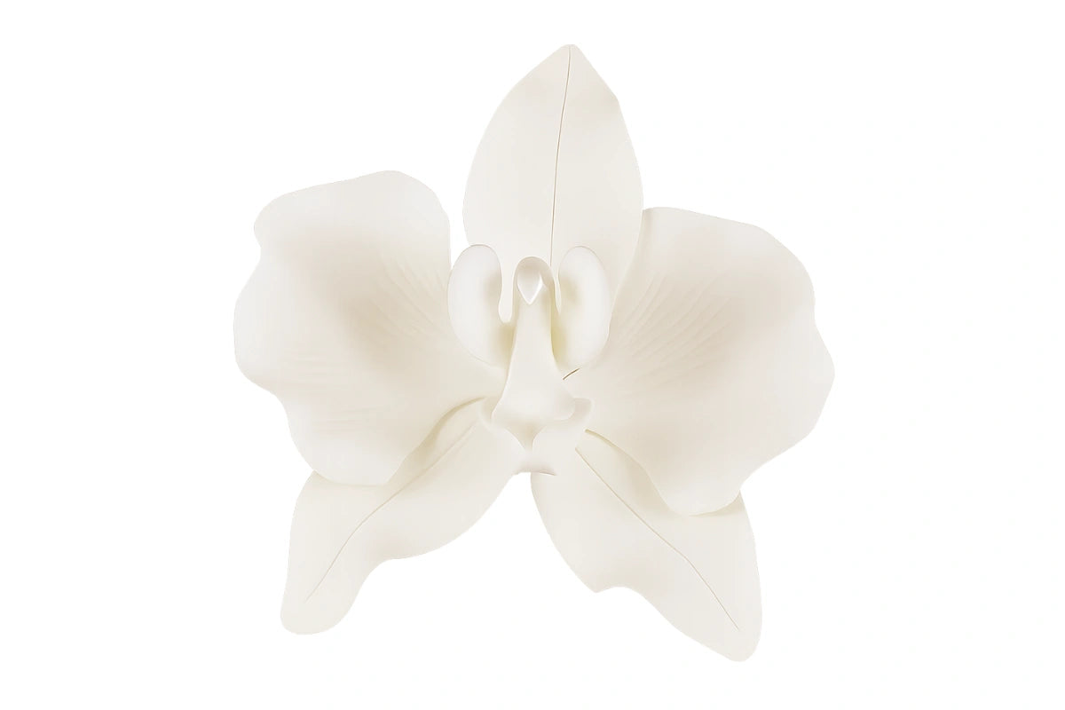 White Phalaenopsis Orchid Large - Sweet Sugar Flowers