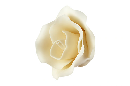 Ivory Medium Single Rose - Sweet Sugar Flowers