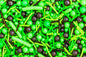 Camo Mixed Fancy 1kg - Iconic Sprinkles