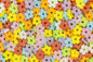Daisy Chain 1kg - Iconic Sprinkles