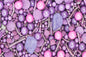 Lavender Mixed Fancy 1kg - Iconic Sprinkles