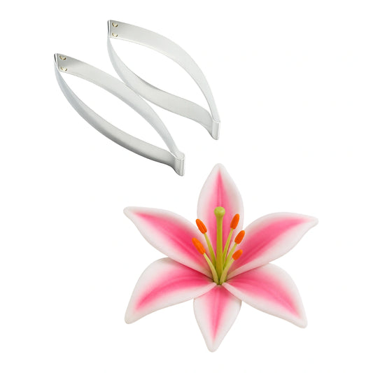 Oriental Lilly - Carolines