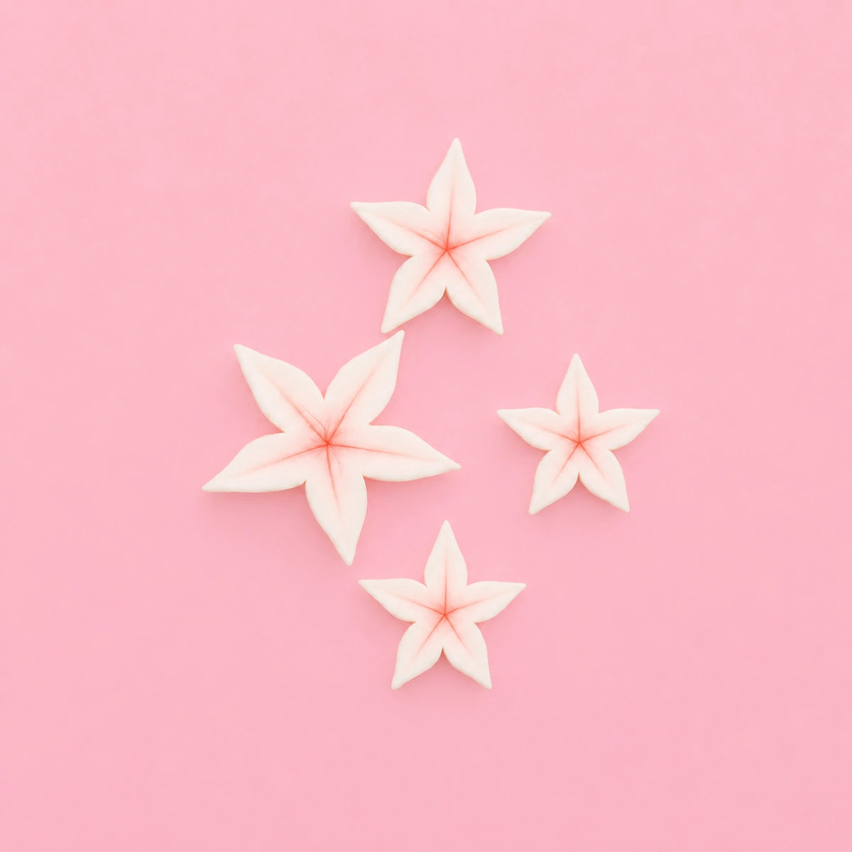 Calyx Plunger Cutter - 5.5, 6.5, 7.6 (3 Pack) - Iconic Cake Art