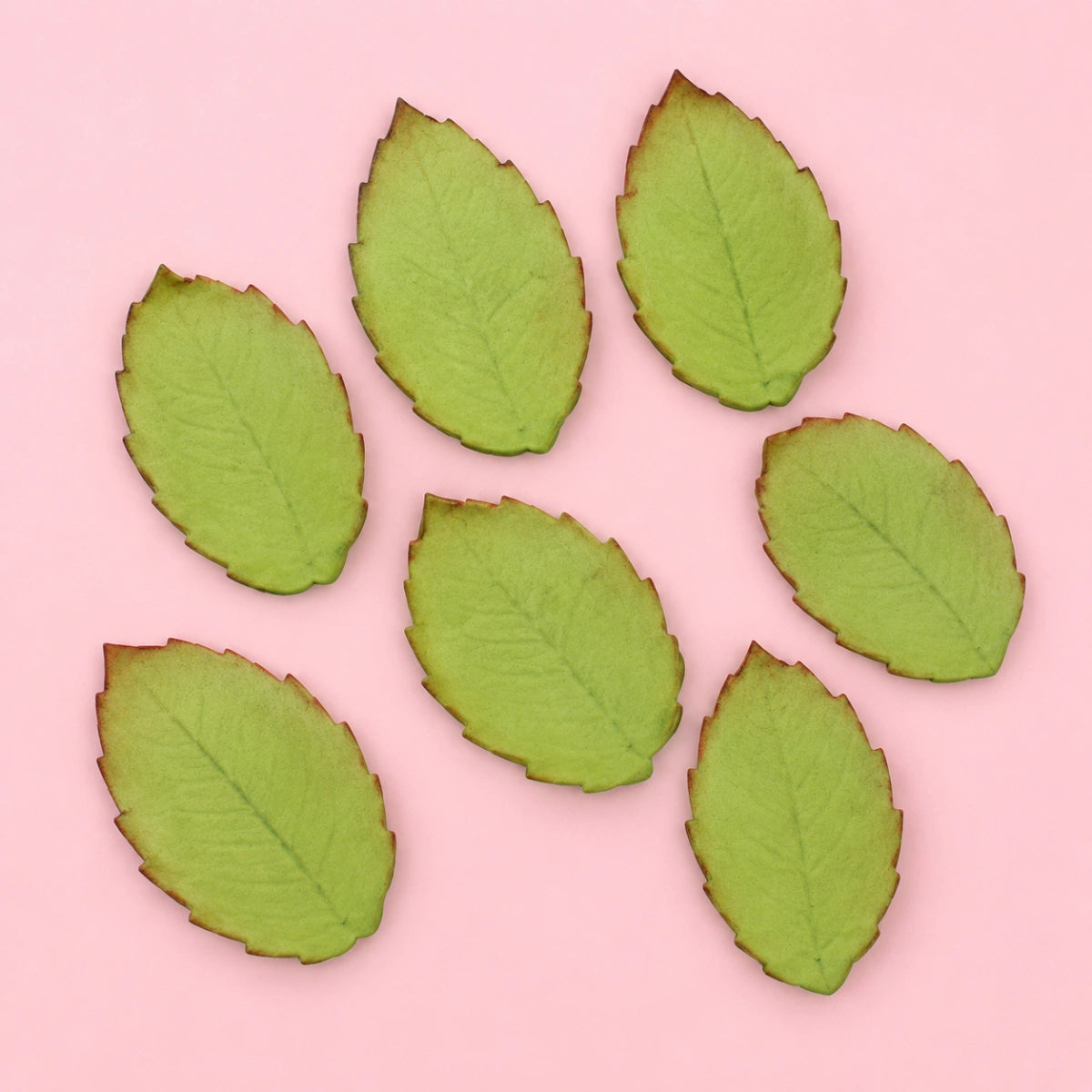 Veined Rose Leaf Plunger Cutters Set Of 3